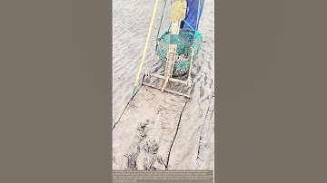 The Ultimate Clamming Machine