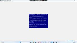 Tiny7 BSOD VM #1 (My Computer and VM have BSOD #46)