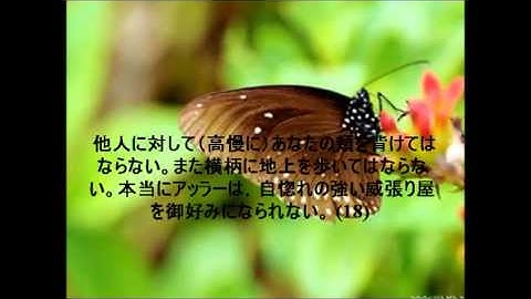 Holly Quran with Japanese Translation Sourate Luqman- 聖クルアーン- القران الكريم مترجم للغه اليابانيه