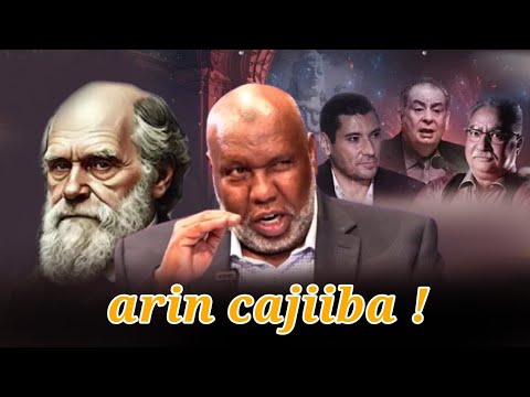 Arin Ka Yaabisay Professorada Iyo Arrimaho Cajiiba Oo Quraanka Laga Hellay Sheikh Abdirahman