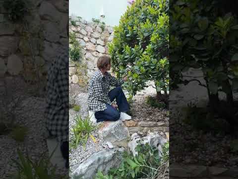 🌿 Совмещаем отдых с работой