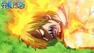 F En El Chat Por Sanji One Piece Subs. Español