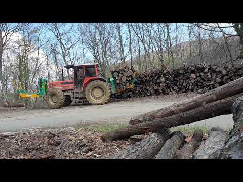 Video: Cabine In Legno (28 Foto): Caratteristiche Dei Rimorchi Da Un Bar. Magliette E Altri Cambiamonete In Legno. Quanto Pesa Un Capannone Sbarrato?