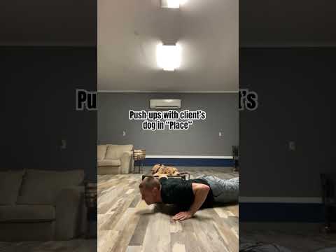 Push Ups With Client S Dog In Place