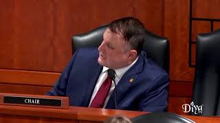 RAW: Full Jessy Jacob testimony before Michigan House alleging election irregularities | Diya TV