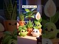 Trending Videos | Benefits of Indoor Plants | Chirkut Life