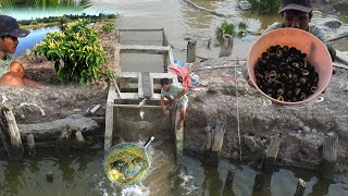 Hasil Yang Luar Biasa Saat Kasi Menyusu Kepiting Dan Mencari Siput Nipa Rasanya Sungguh Nikmat