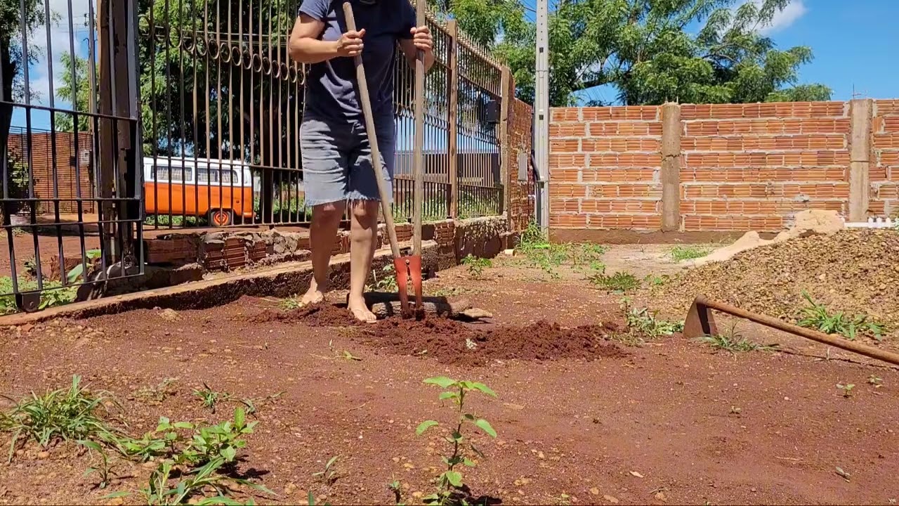 PÉ RAPADO -- Ao contrário do seu significado, no meu recanto o "pé rapado" é objeto de decoração.