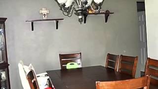 Homes for Sale - 54 Redwood Rd Ocala FL 34472 - Iliana Cunha