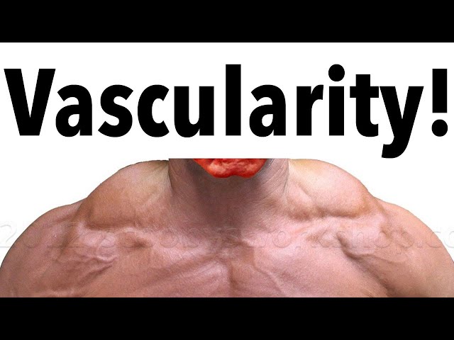 Vascularity X 1,000. MuscleUp Bodybuilding. ~ mikE™