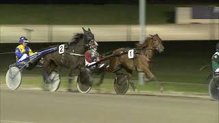 Vidéo de la course PMU PRIX HEMA WOLVEGA