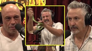 Harland's Pet Tape Worm | Joe Rogan & Harland Williams