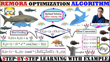 Remora Optimalisatie Algoritme | STAP-VOOR-STAP | Leren met Voorbeelden ~xRay Pixy