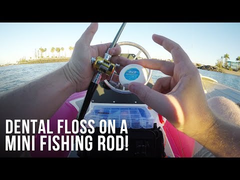 Catching Fish with DENTAL FLOSS on a MINI FISHING ROD! Survival Hack! 