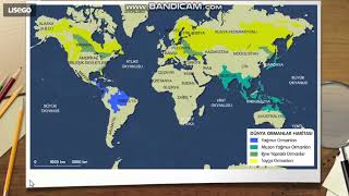 10 Sinif Ağaç Formasyonu 1