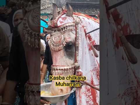 mohharam special kasba chilkana