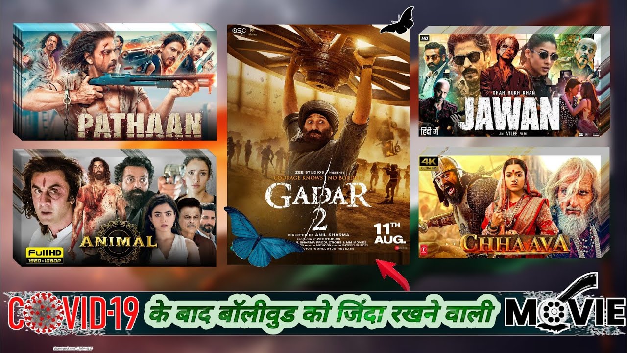 कोविड के बाद बॉलीवुड को कौन सी फिल्मों ने फिर से जिंदा किया #bollywood #pathan #jawan #chhava गदर 2
