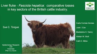 Comparative losses due to liver fluke (Fasciola hepatica)