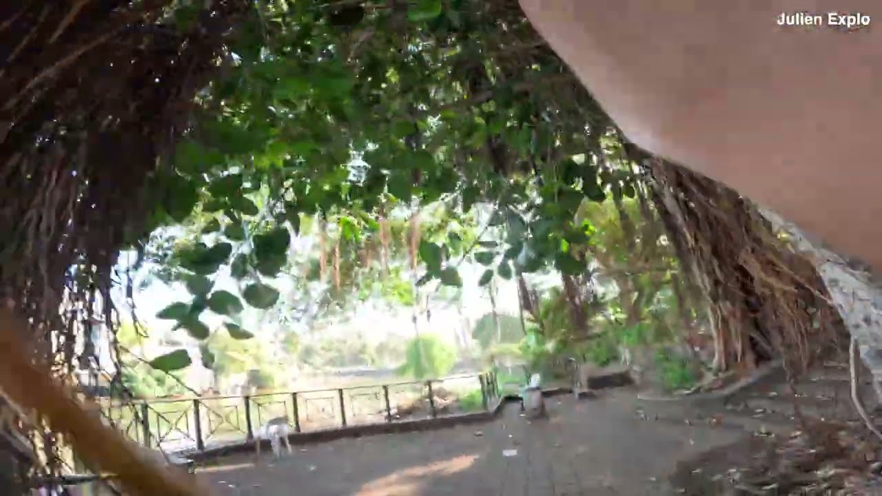 🇷🇪Rando: La boucle urbaine du Quartier des Pêcheurs à Terre Sainte #randonnée #iledelareunion #gopro