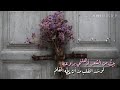 بيت من الشعر أذهلني كريم العراقي