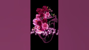 صباح الخير❤اجمل حالات واتس اب❤ مقاطع قصيره❤ قران كريم❤الذين امنوا وتطمئن قلوبهم بذكر الله❤بدون حقوق