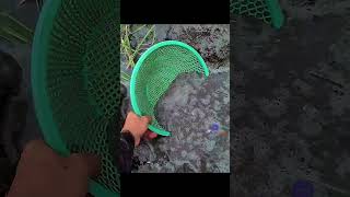 Bir Istedi Bin Aldı😂 Resimi