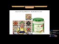 Rocket Cup Groups: The Green T's vs King Biceps & AoE_Eure_Cleansmänner vs The Great Equalizer