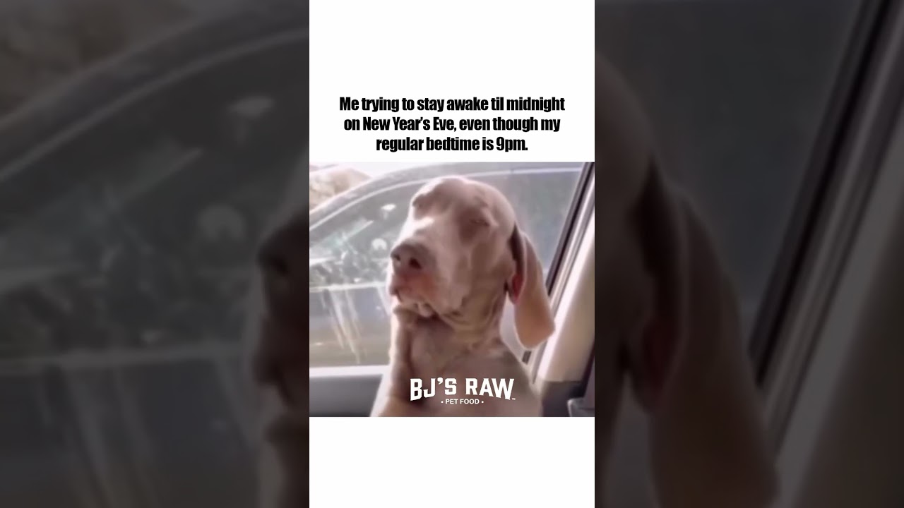 Trying to stay awake for New Year's Eve🤣🎉