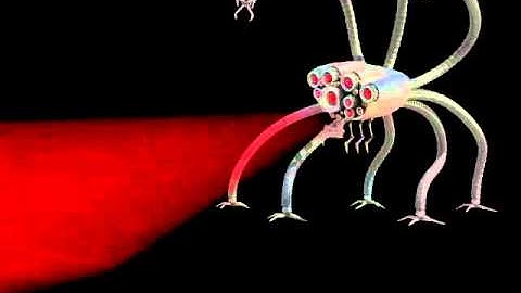 FxGuru-Alien Probe серия #24