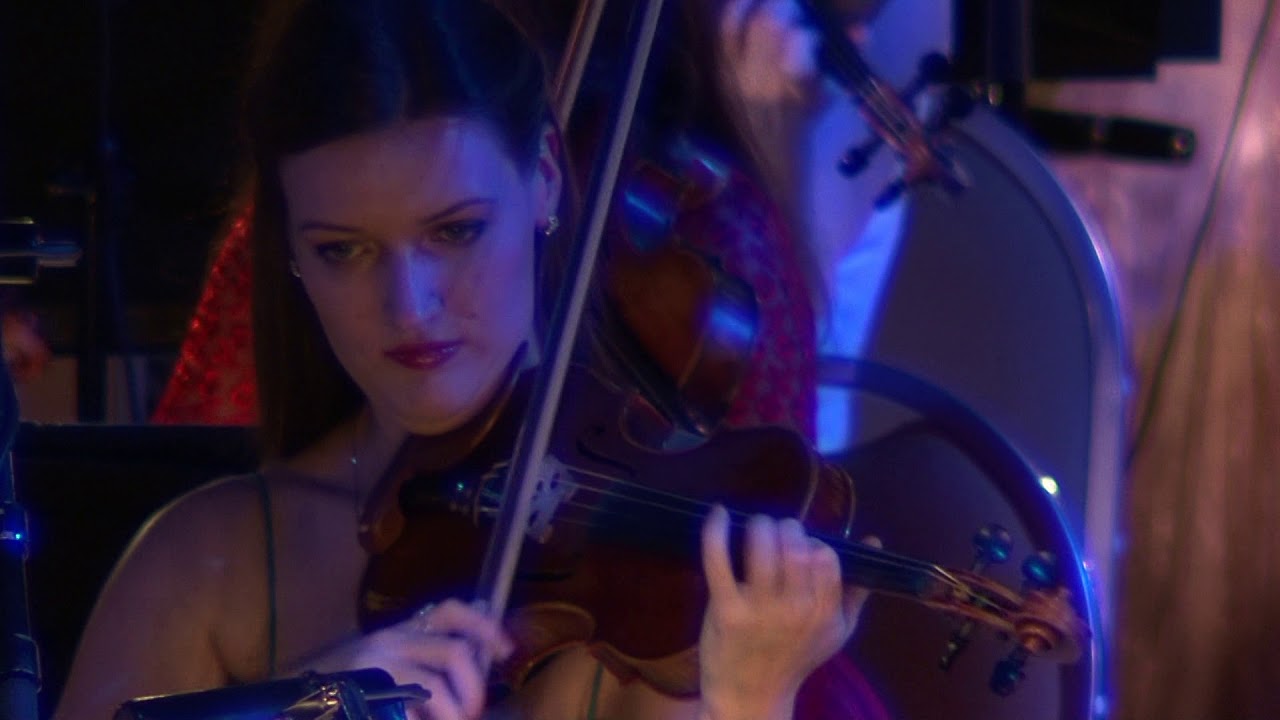 летучая мышь ария