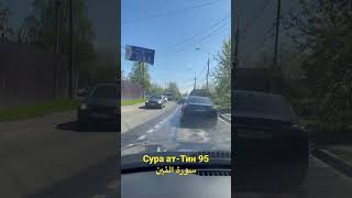 Сура ат-Тин 95 سورة التين #коран #сура #хусейнхазрат