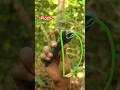 plastic slingshot use easy 👍#viralvideo#bestslingshot#unfrez#ytshorts