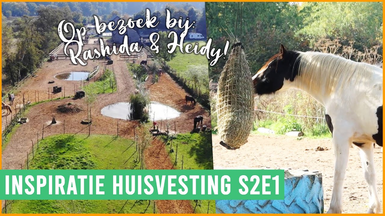 Twee Paddock Paradises, maar toch HEEL anders! | felinehoi INSPIRATIE HUISVESTING S2E1
