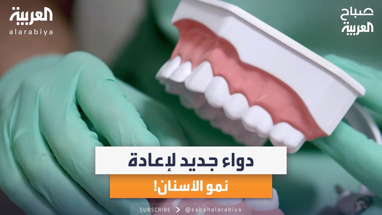 صباح العربية | ثورة في علم الأسنان.. دواء لإعادة نموها.. أخصائي طب الأسنان خيام مقداد يوضح