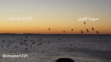 سورة الفيل  Surat Al-Fil | بصوت القارئ حسام الدين عبادي