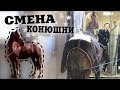 ВЛОГ: Смена конюшни | Вся моя амуниция | Обратно в поля