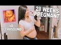 OUR BABY'S HIGH RISK 4D ULTRASOUND | 28 WEEKS PREGNANT UPDATE