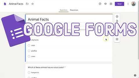Google Forms: Automatically Collect Email Address in Google Forms - Easy