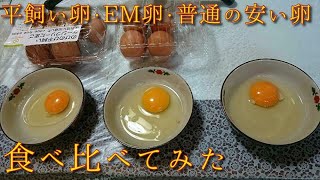 【人体実験シリーズ㉙】平飼い卵・EM卵・普通の卵で味が違う？3つを買って食べ比べしてみた。卵の本当の色はオレンジではなく「レモン色」です。