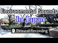 [Relaxing Binaural Ambient Sound] Everyday life in Japan | Shinobu River in Ueno Park 上野恩賜公園/しのぶ川