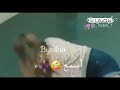 ليتمشكل معاا احنا أهل المراجل mp3