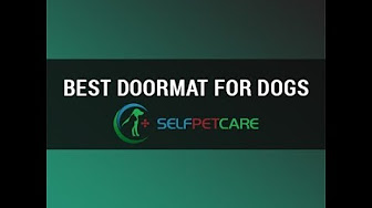 Best Doormat For Dogs Youtube