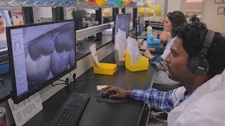 Sirona CEREC 5.1.3 CAD/CAM Dental Training - Manufacture Phase