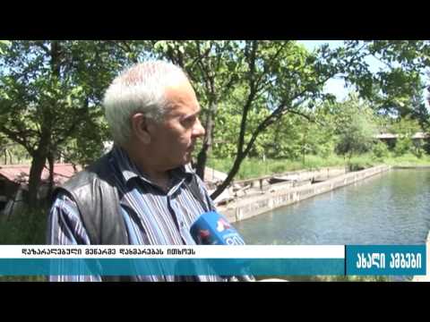 2008 წლის ომის დროს დაზარალებული მეწარმე დახმარებას ითხოვს 17.05.2016