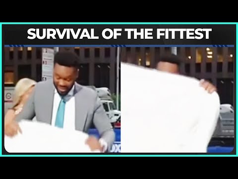 hqdefault Fox news host gets owned by a fitted sheet