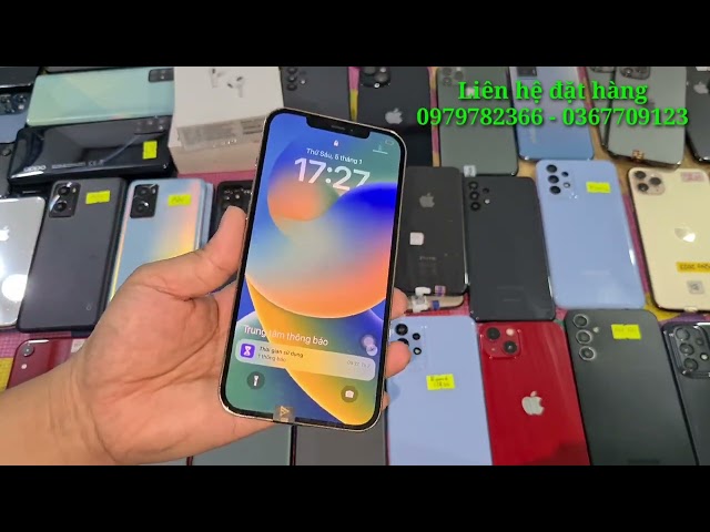 Iphone cũ quốc tế siêu rẻ| 5 tháng 1, 2024| iphone 11promax, 11pro, iphone Xr, sam sung A53, A23