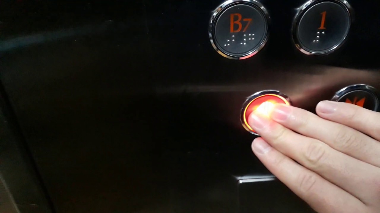 경기도 안양시 동안구 동안로 119 (호계동) (주)뉴코아평촌킴스아울렛 대성아이디에스 탑사기