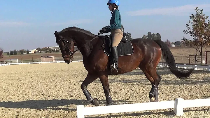 Krista and Dorado