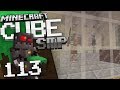 Minecraft Cube SMP S1 Episode 113: Mob Confinement