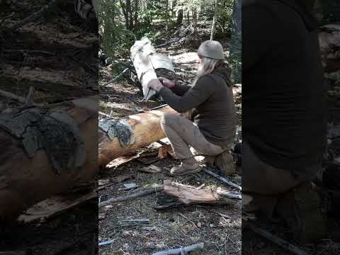EPIC Shelter Building